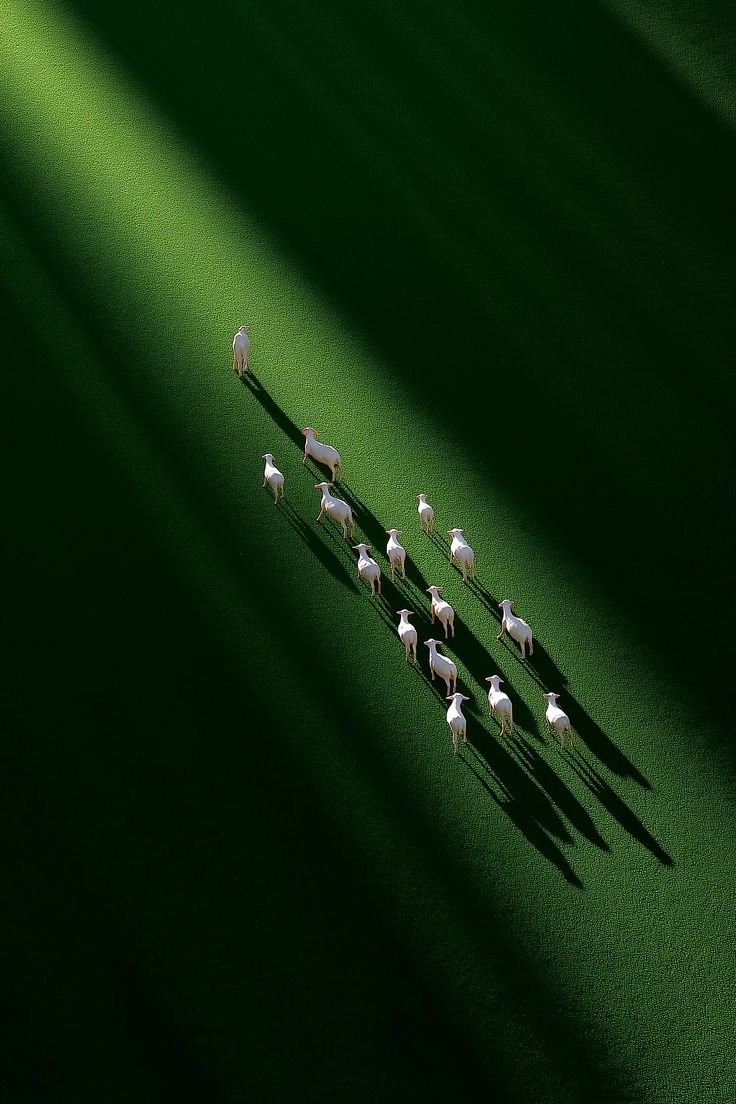 87f26bf1f2a104bdf1b2eeb1ca5cd878 (1)